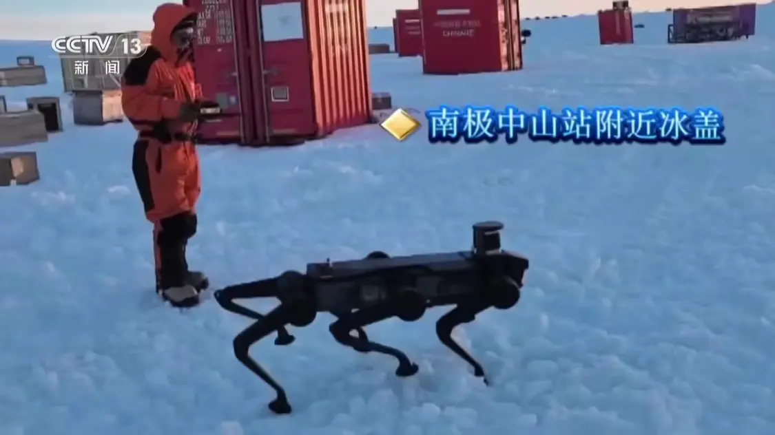 中国自主研发的六足机器狗在南极打卡上班：运输、开路双管齐下