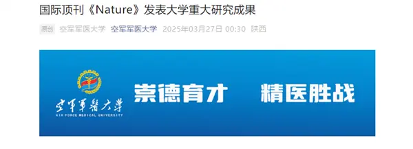 全球首例！中国团队成功将基因编辑猪肝脏移植人体