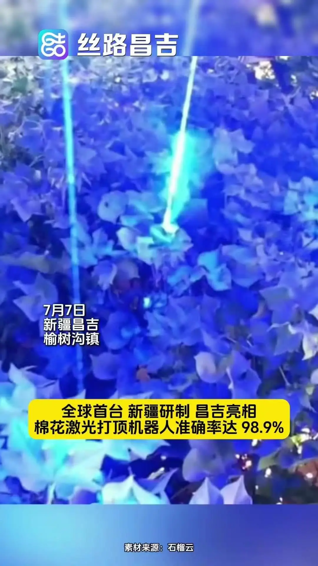 全球首款棉花激光打顶机器人亮相：准确率达98.9%，作业效率10倍于人工